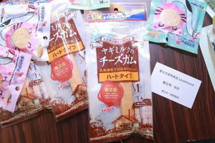 鑒賞 超過130件主打寵物產品,你要的都在這